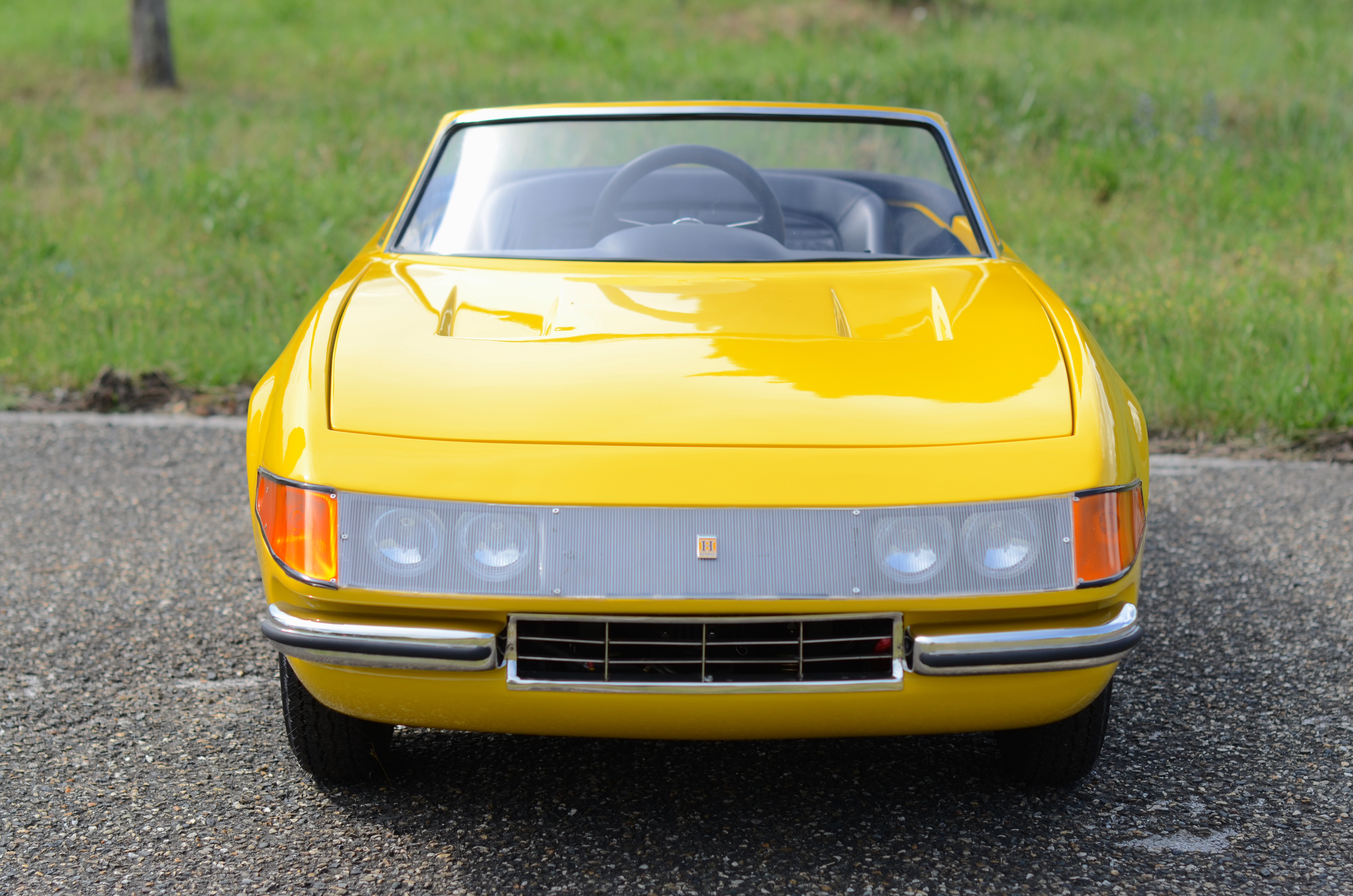 Daytona Harrington Group